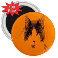 Cat Graphic Art 3  Magnets (100 Pack)