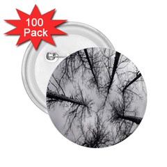 Trees Without Leaves 2.25  Buttons (100 pack) 
