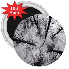 Trees Without Leaves 3  Magnets (100 pack)