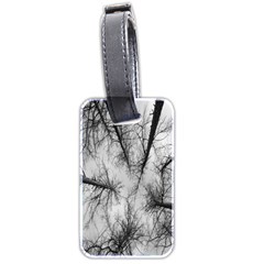 Trees Without Leaves Luggage Tags (Two Sides)