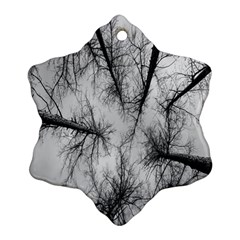 Trees Without Leaves Snowflake Ornament (two Sides)