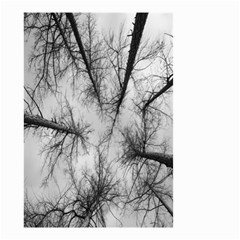 Trees Without Leaves Small Garden Flag (two Sides) by Nexatart