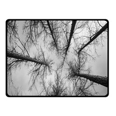 Trees Without Leaves Double Sided Fleece Blanket (small)  by Nexatart