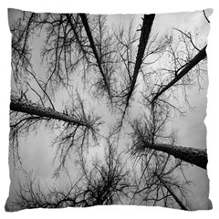 Trees Without Leaves Large Flano Cushion Case (Two Sides)