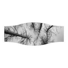 Trees Without Leaves Stretchable Headband