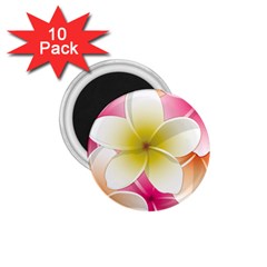 Frangipani Flower Floral White Pink Yellow 1 75  Magnets (10 Pack)  by Mariart