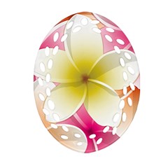 Frangipani Flower Floral White Pink Yellow Oval Filigree Ornament (two Sides)
