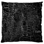 Old Black Background Large Flano Cushion Case (Two Sides) Front