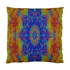 A Creative Colorful Backgroun Standard Cushion Case (one Side)