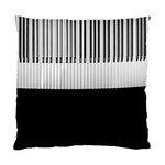 Piano Keys On The Black Background Standard Cushion Case (Two Sides) Front