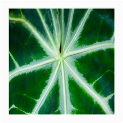 Green Leaf Macro Detail Medium Glasses Cloth