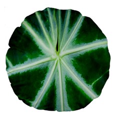 Green Leaf Macro Detail Large 18  Premium Round Cushions by Nexatart