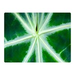 Green Leaf Macro Detail Double Sided Flano Blanket (Mini)  35 x27  Blanket Back