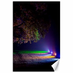 Illuminated Trees At Night Canvas 24  X 36  by Nexatart