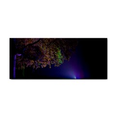 Illuminated Trees At Night Cosmetic Storage Cases by Nexatart