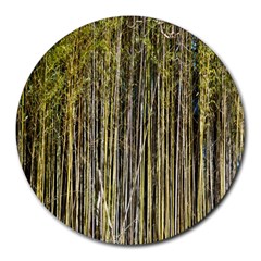 Bamboo Trees Background Round Mousepads by Nexatart