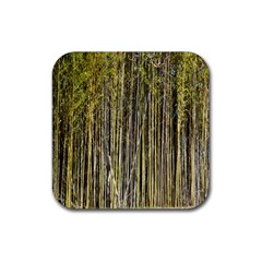 Bamboo Trees Background Rubber Coaster (square)  by Nexatart