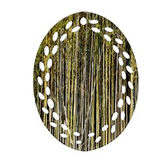 Bamboo Trees Background Ornament (oval Filigree)