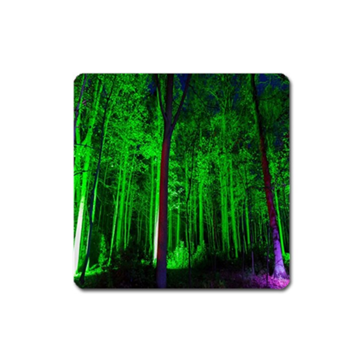 Spooky Forest With Illuminated Trees Square Magnet