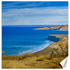 Seascape View From Punta Del Marquez Viewpoint, Chubut, Argentina Canvas 16  X 16   by dflcprints