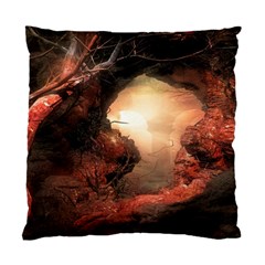 3d Illustration Of A Mysterious Place Standard Cushion Case (two Sides) by Nexatart