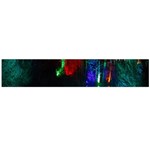 Illuminated Trees At Night Near Lake Flano Scarf (Large) Back