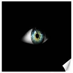 Eye On The Black Background Canvas 20  X 20   by Nexatart