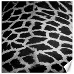 Black And White Giraffe Skin Pattern Canvas 16  x 16   15.2 x15.41  Canvas - 1