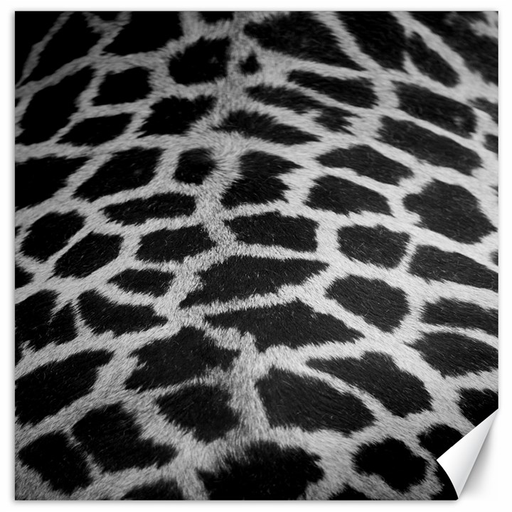 Black And White Giraffe Skin Pattern Canvas 16  x 16  