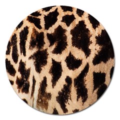 Giraffe Texture Yellow And Brown Spots On Giraffe Skin Magnet 5  (round) by Nexatart