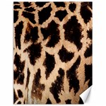 Giraffe Texture Yellow And Brown Spots On Giraffe Skin Canvas 18  x 24   17.8 x23.08  Canvas - 1