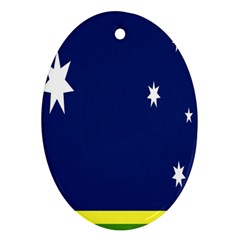 Flag Star Blue Green Yellow Ornament (oval) by Mariart