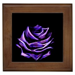 Rose Flower Design Nature Blossom Framed Tiles by Nexatart