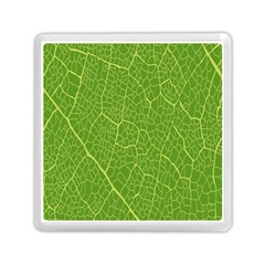 Green Leaf Line Memory Card Reader (square)  by Mariart