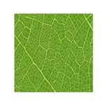 Green Leaf Line Small Satin Scarf (Square) Front