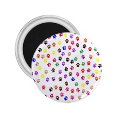 Paw Prints Dog Cat Color Rainbow Animals 2 25  Magnets by Mariart