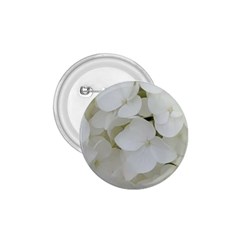 Hydrangea Flowers Blossom White Floral Photography Elegant Bridal Chic  1 75  Buttons by yoursparklingshop