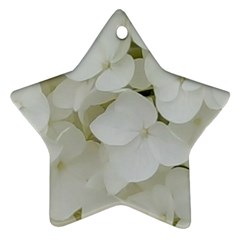 Hydrangea Flowers Blossom White Floral Photography Elegant Bridal Chic  Star Ornament (two Sides) by yoursparklingshop