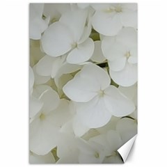 Hydrangea Flowers Blossom White Floral Photography Elegant Bridal Chic  Canvas 24  X 36  by yoursparklingshop