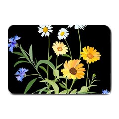 Flowers Of The Field Plate Mats by Nexatart