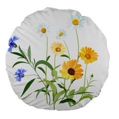 Flowers Flower Of The Field Large 18  Premium Flano Round Cushions by Nexatart