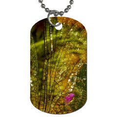 Dragonfly Dragonfly Wing Insect Dog Tag (one Side) by Nexatart