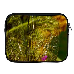 Dragonfly Dragonfly Wing Insect Apple Ipad 2/3/4 Zipper Cases by Nexatart