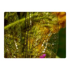 Dragonfly Dragonfly Wing Insect Double Sided Flano Blanket (mini)  by Nexatart