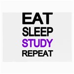 Eat sleep study repeat Large Glasses Cloth (2-Side) Front