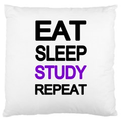 Eat Sleep Study Repeat Standard Flano Cushion Case (one Side) by Valentinaart