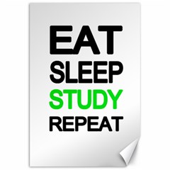 Eat Sleep Study Repeat Canvas 20  X 30   by Valentinaart