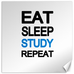 Eat Sleep Study Repeat Canvas 16  X 16   by Valentinaart