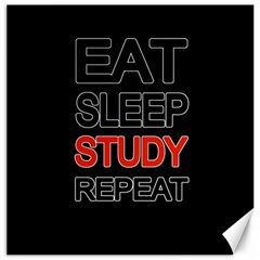 Eat Sleep Study Repeat Canvas 20  X 20   by Valentinaart
