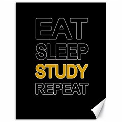 Eat Sleep Study Repeat Canvas 18  X 24   by Valentinaart